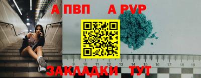 спиды Заводоуковск